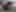 2026 Cadillac VISTIQ