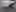 2021 INFINITI QX80