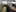 img-7