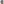 Renee